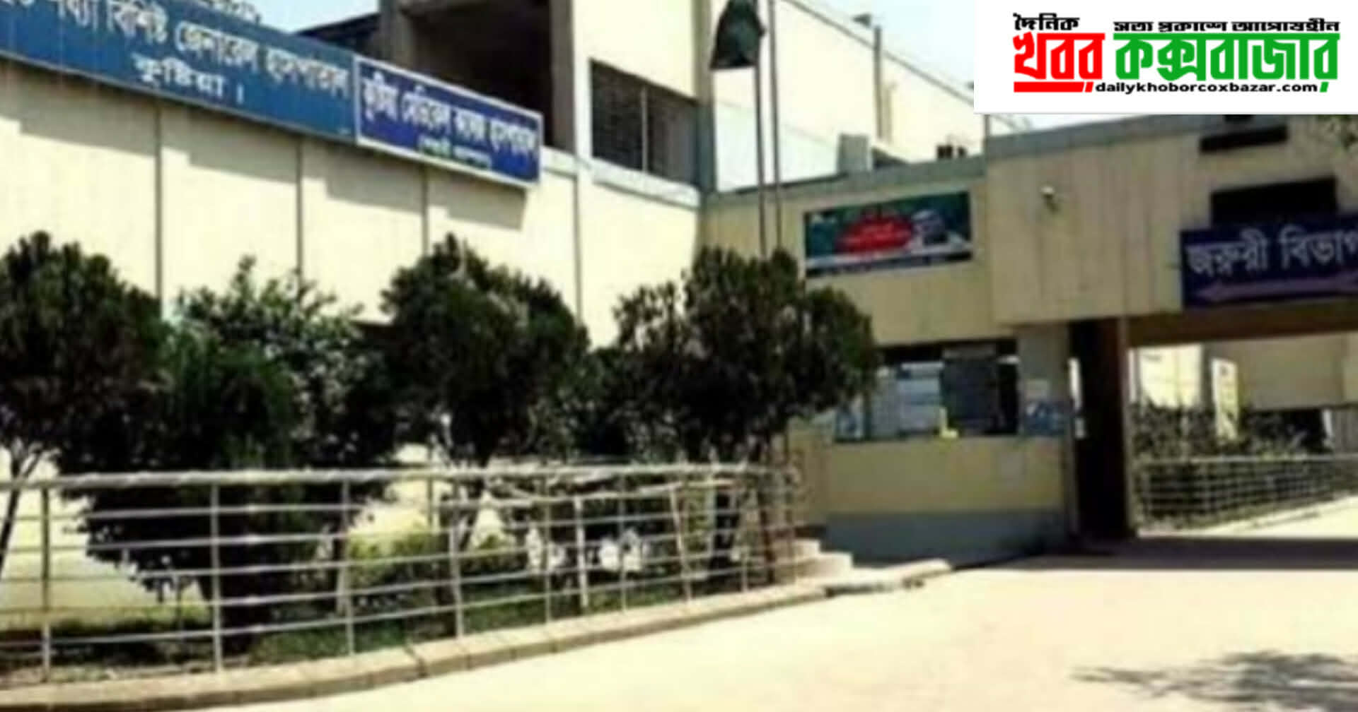 রসুন ক্ষেতে মুরগি যাওয়ায় চাচাতো ভাইয়ের হাতে খু’ন