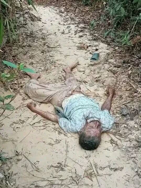কক্সবাজার পাহাড়তলীর শামশুল আলমের মৃতদেহ উদ্ধার রামুতে, পিঁপড়ার কামড়ে ভয়াবহ অবস্থা