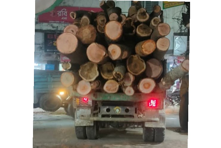 ঈদগাঁওতে পবিত্র ঈদুল আযহার সুযোগে বনাঞ্চল উজাড়: রাতে চলে অবৈধ ডাম্পারের মেলা