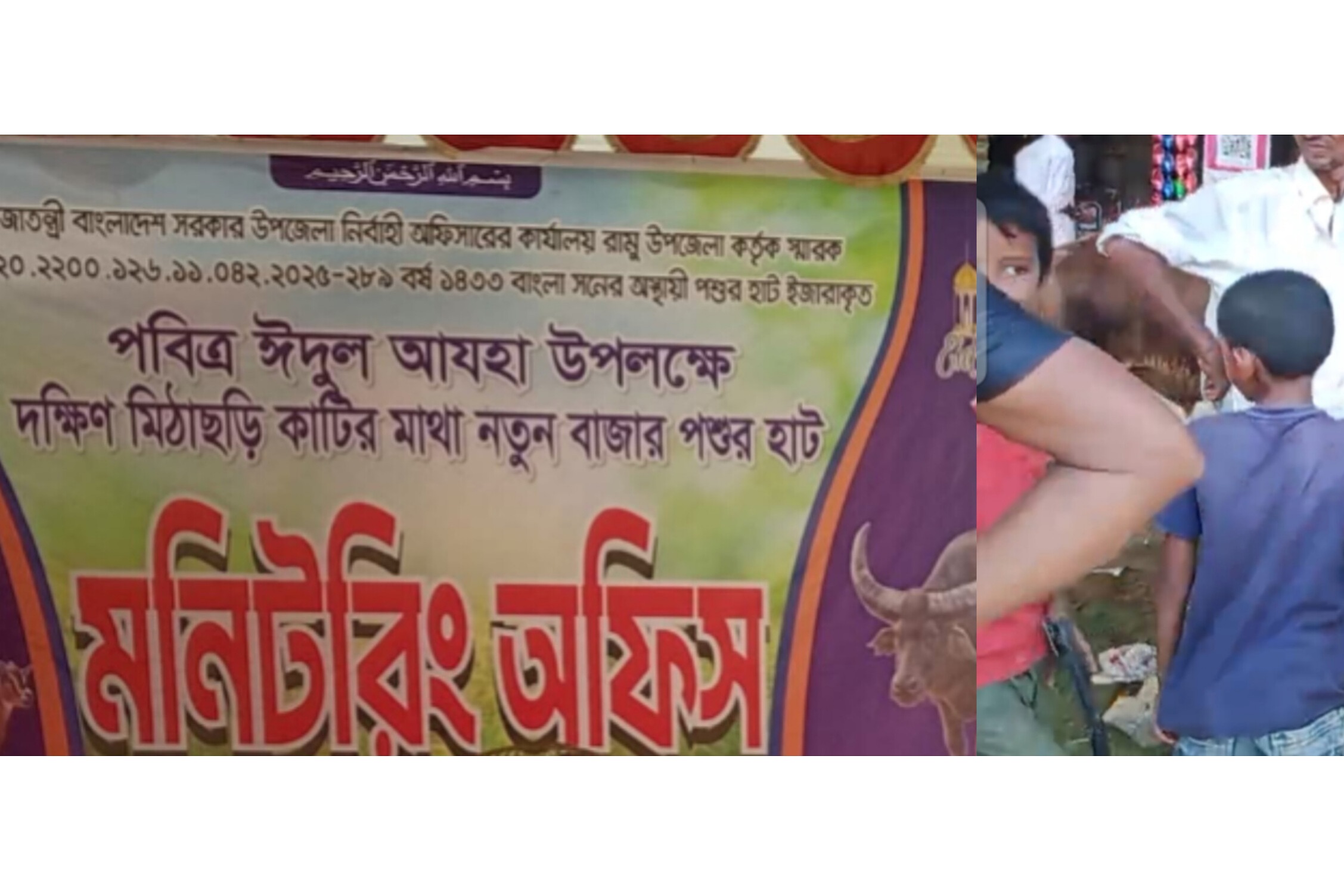 দক্ষিণ মিঠাছড়ির পশুর হাটে ভ্রাম্যমাণ আদালত: অতিরিক্ত হাসিলে ইজারাদারের জরিমানা