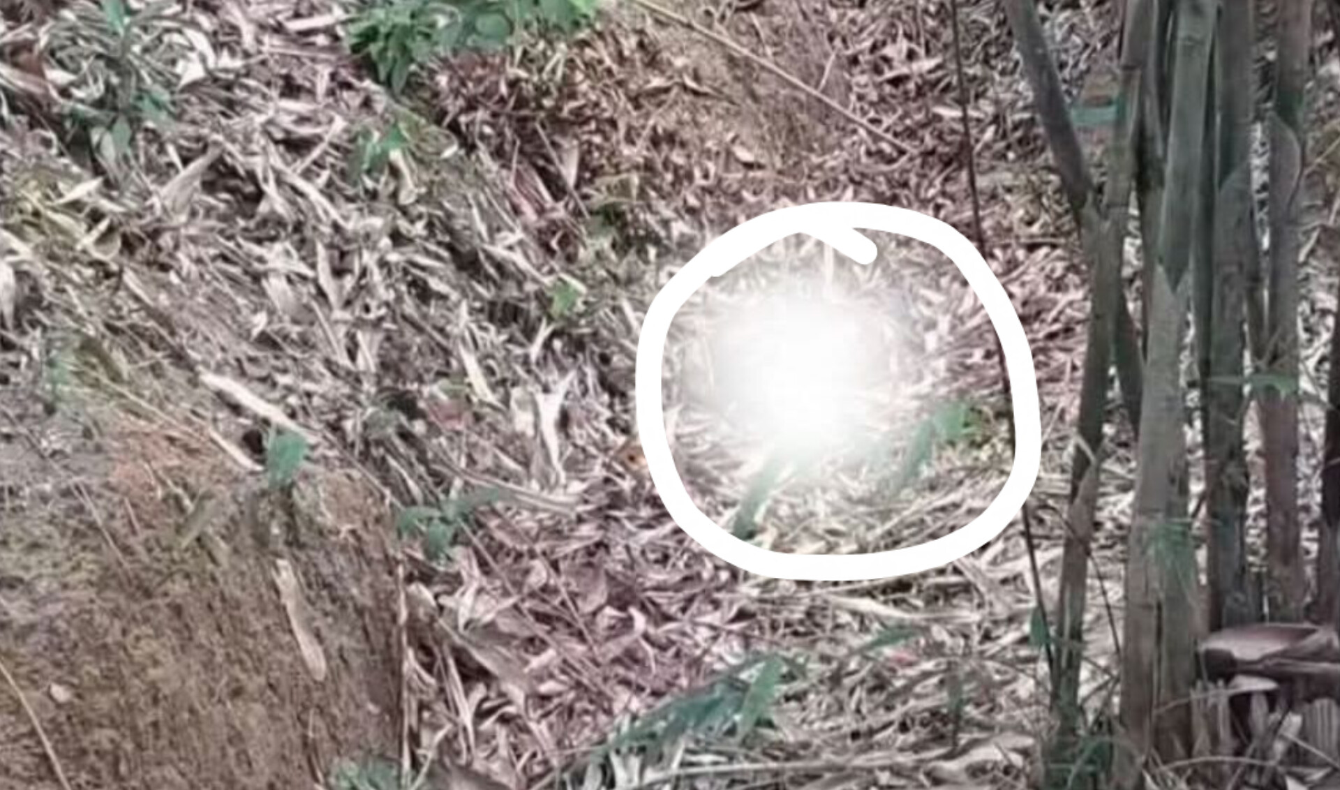 খুরুশকুলে হাত-পা কাটা অবস্থায় শিশুর মরদেহ উদ্ধার: এলাকায় শোকের মাতম