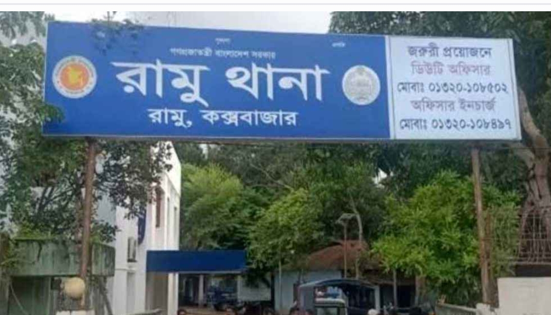 মানসিক ভারসাম্যহীন’ মায়ের হাতে ২ মাসের সন্তান খুন, আটক মা রোমেনা